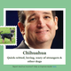 Illustration for article titled Microsofts New What-Dog-Is-Your-Face Tool Is Good, Dumb Fun